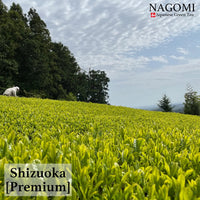 抹茶 静岡【単一農園】